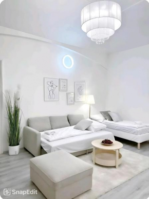 Centrum Praha 1 Apartmán 95m2